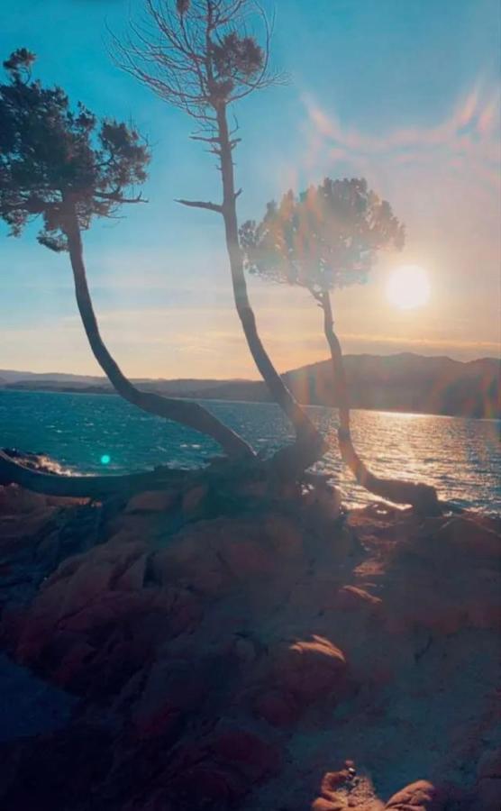 Отель Palombaggia Location I Pini Porto Vecchio Экстерьер фото